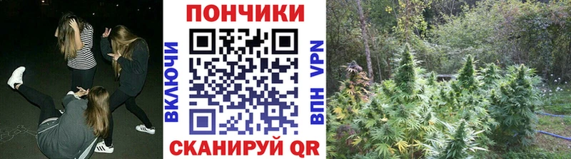 Все наркотики Алапаевск А ПВП  БУТИРАТ  Меф  Конопля  Кокаин 