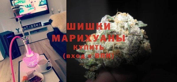 прущие грибы Абинск
