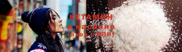 прущие грибы Абинск