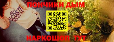 гидра Кингисепп