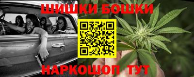 гидра Кингисепп