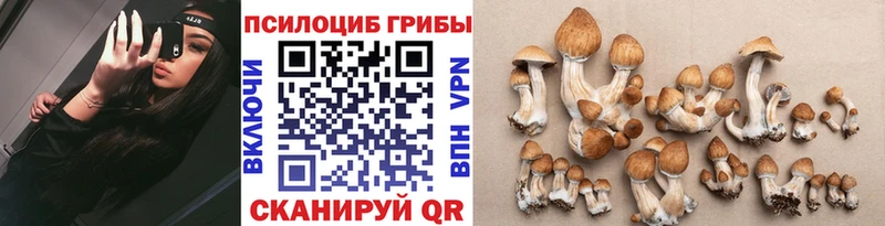 дарнет шоп  Алапаевск  Галлюциногенные грибы прущие грибы 