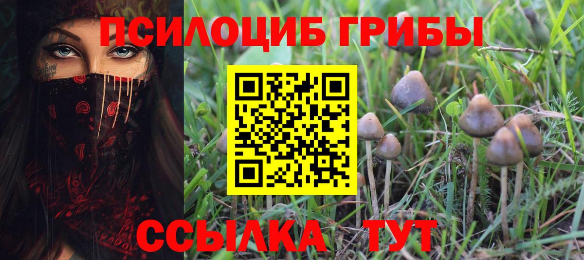 Алапаевск  Псилоцибиновые грибы MAGIC MUSHROOMS  Вход с VPN 